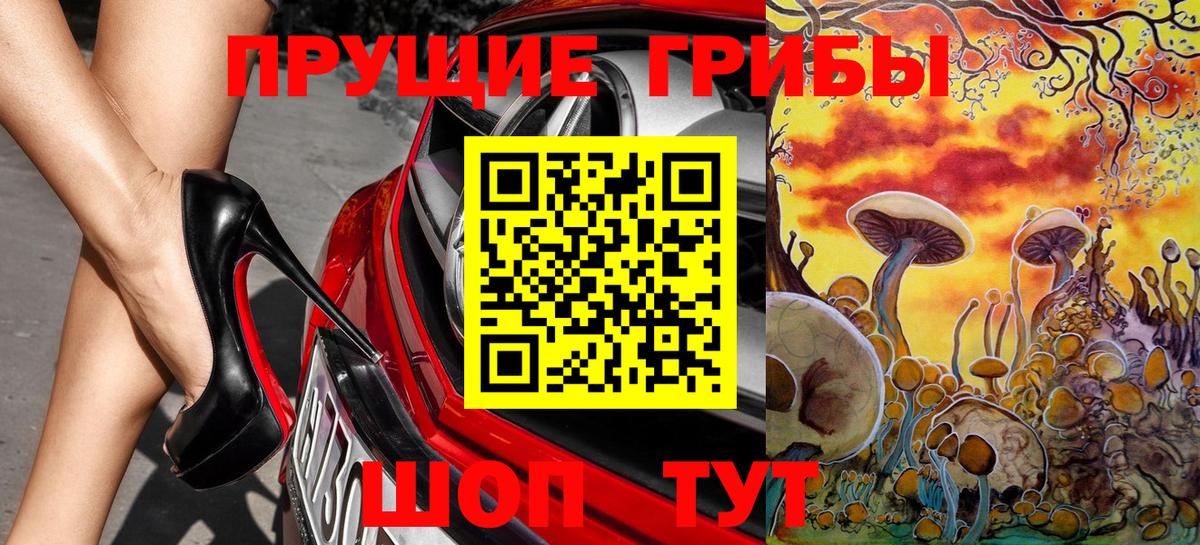 Шебекино  Галлюциногенные грибы Cubensis  Вход с VPN  Галлюциногенные грибы прущие грибы 
